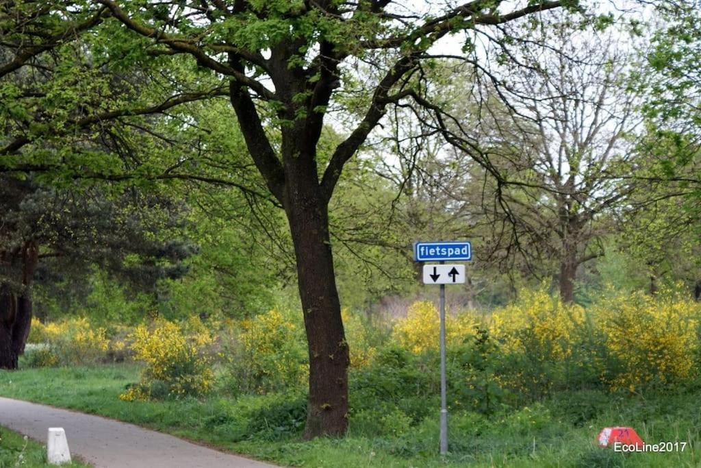 皮滕Huinerhofje 2 - Vrijstaand Met Grote Omheinde Tuin, Rust, Privacy En Nabij Bossen别墅 外观 照片